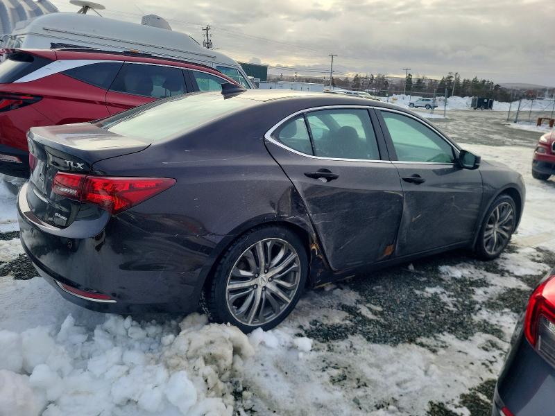 74641015 :رقم المزاد ، 19UUB3F70HA800869 vin ، 2017 Acura Tlx Advanc مزاد بيع