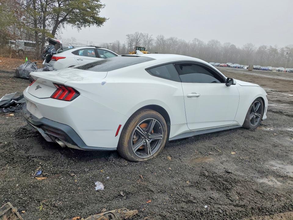Продажа на аукционе авто 2024 Ford Mustang, vin: 1FA6P8TH1R5130672, номер лота: 77146535
