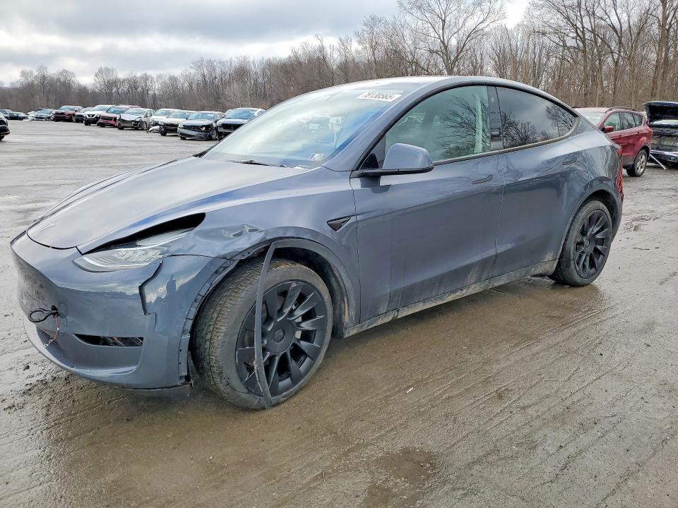 Aukcja sprzedaży 2023 Tesla Model Y, vin: 7SAYGDEE7PA120349, numer aukcji: 78130565