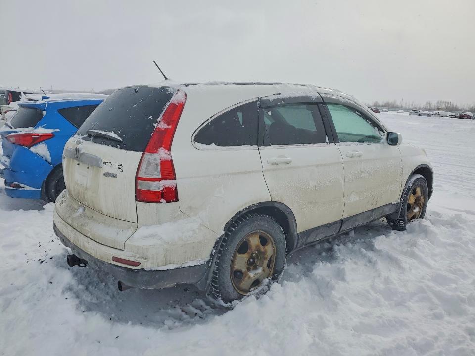2011 Honda Cr-v Ex მანქანა იყიდება აუქციონზე, vin: 5J6RE4H58BL814750, აუქციონის ნომერი: 76827435