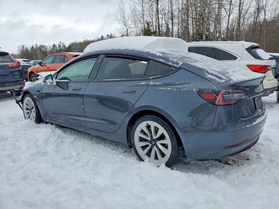 74981355 :رقم المزاد ، 5YJ3E1EB2PF416769 vin ، 2023 Tesla Model 3 Long Range 7 مزاد بيع