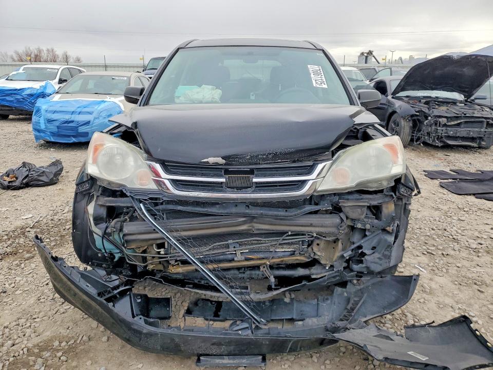 Продаж на аукціоні авто 2011 Honda Cr-v, vin: 5J6RE4H57BL076505, номер лоту: 76861125