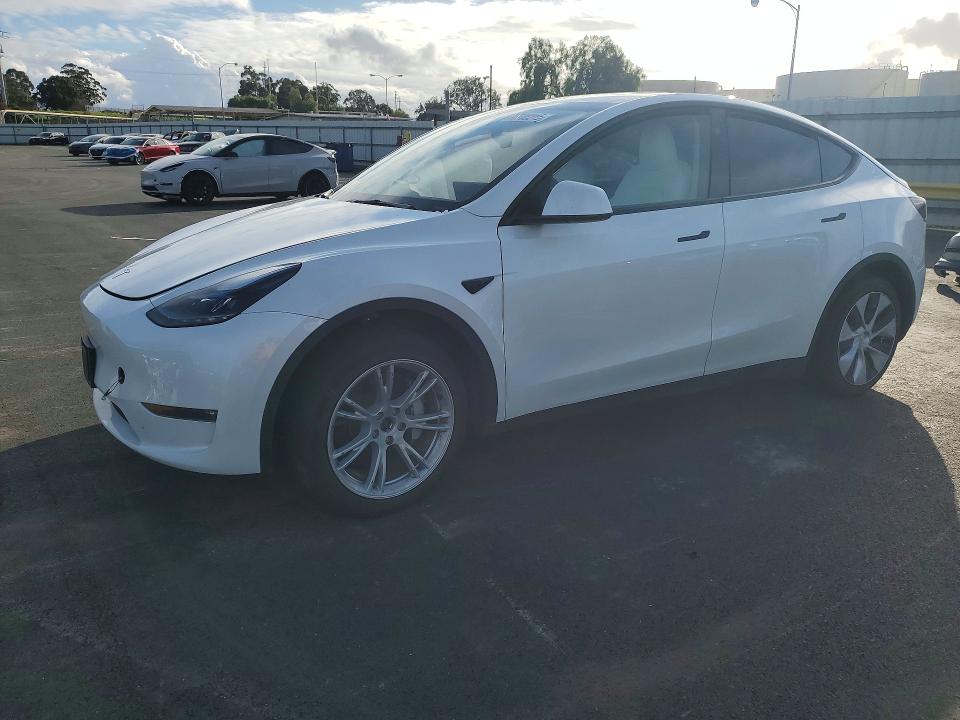 Aukcja sprzedaży 2024 Tesla Model Y, vin: 7SAYGDEE1RF059599, numer aukcji: 77708215