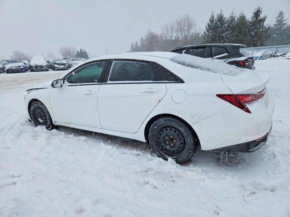 2023 Hyundai Elantra მანქანა იყიდება აუქციონზე, vin: KMHLM4AG4PU541359, აუქციონის ნომერი: 74979365