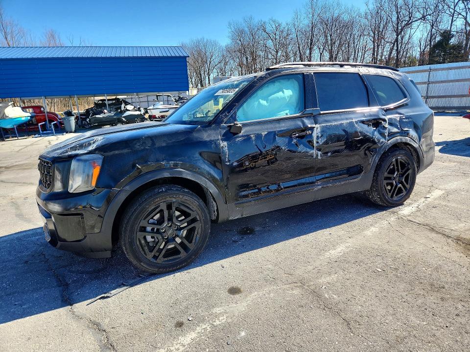 Продаж на аукціоні авто 2025 Kia Telluride, vin: 5XYP3DGC2SG570236, номер лоту: 79059835