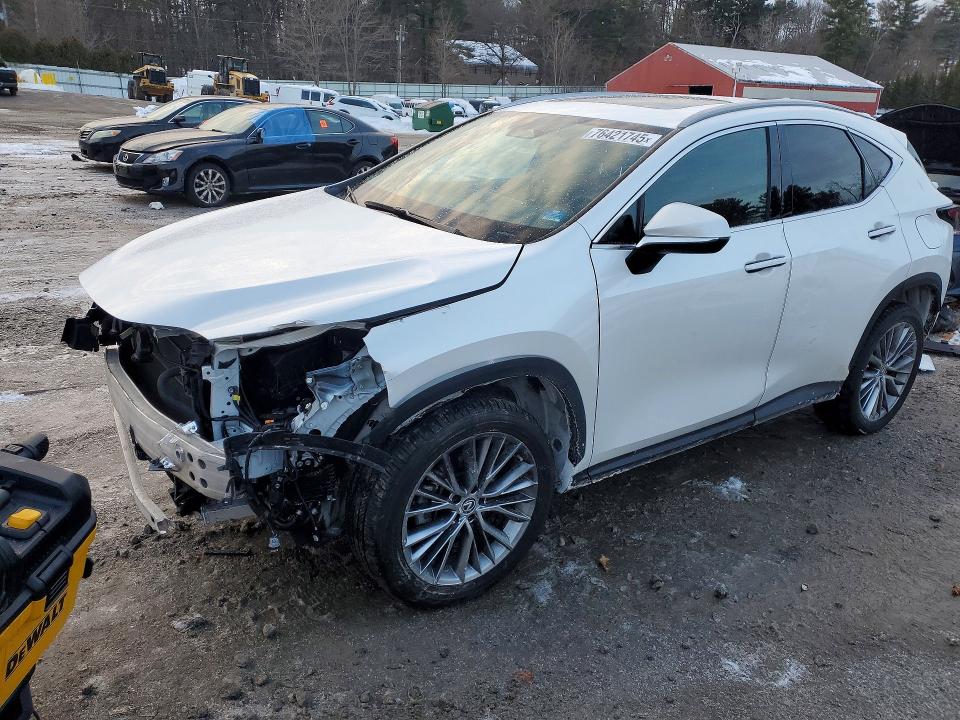 Aukcja sprzedaży 2023 Lexus Nx, vin: 2T2GKCEZ5PC009919, numer aukcji: 76421745