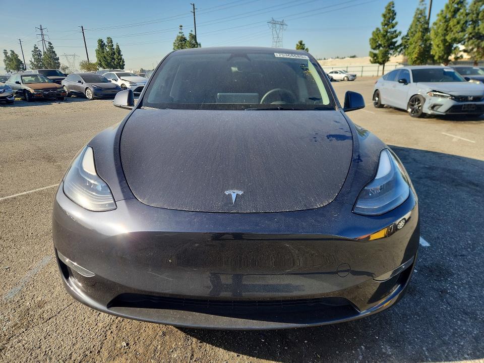 Продаж на аукціоні авто 2024 Tesla Model Y, vin: 7SAYGDEF3RF089972, номер лоту: 75368685