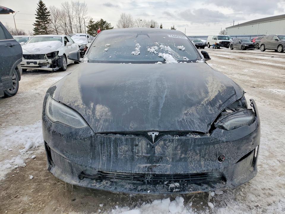 Продажа на аукционе авто 2023 Tesla Model S, vin: 5YJSA1E51PF501202, номер лота: 74443725