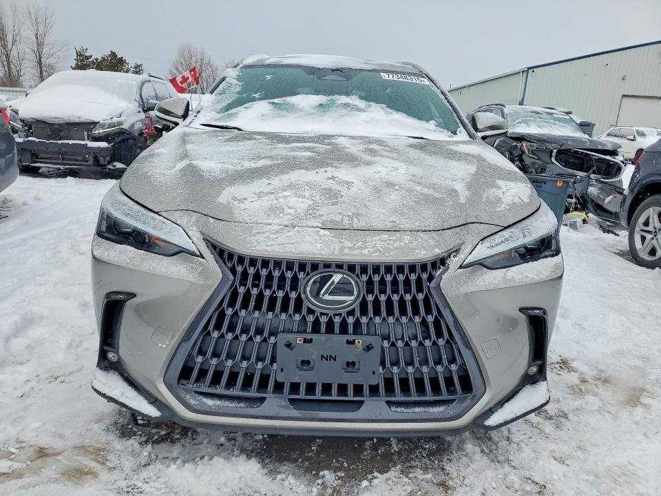 77348315 :رقم المزاد ، 2T2GKCEZ7PC011283 vin ، 2023 Lexus Nx مزاد بيع