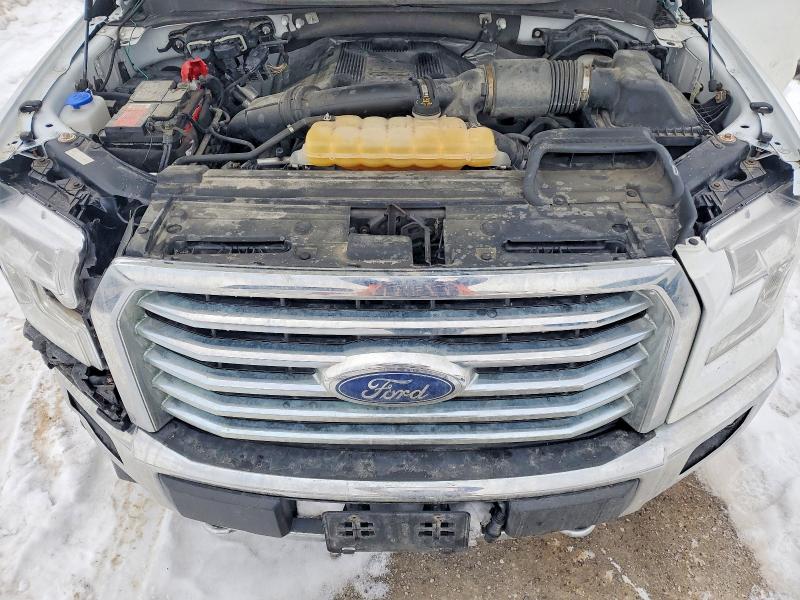 Aukcja sprzedaży 2017 Ford F150, vin: 1FTEW1EG7HFC62381, numer aukcji: 76376375