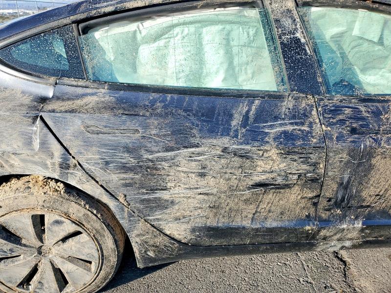 Aukcja sprzedaży 2025 Tesla Model 3, vin: 5YJ3E1EA0SF983756, numer aukcji: 78285575