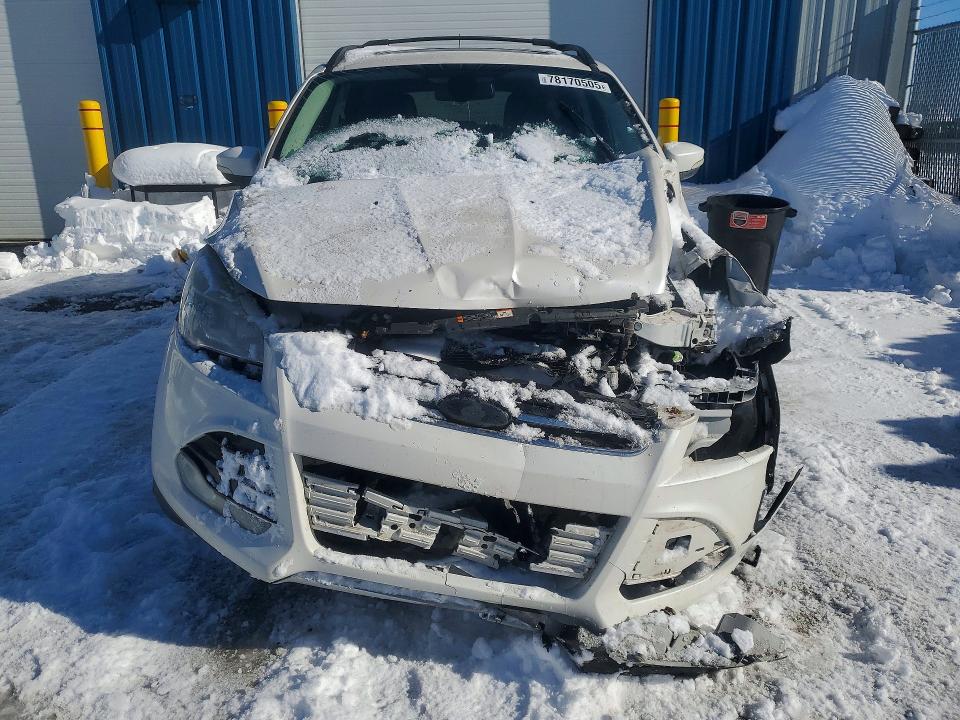 78170505 :رقم المزاد ، 1FMCU0H96DUA76093 vin ، 2013 Ford Escape مزاد بيع