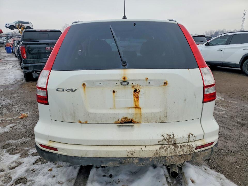 77082355 :رقم المزاد ، 5J6RE4H54AL804926 vin ، 2010 Honda Cr-v مزاد بيع