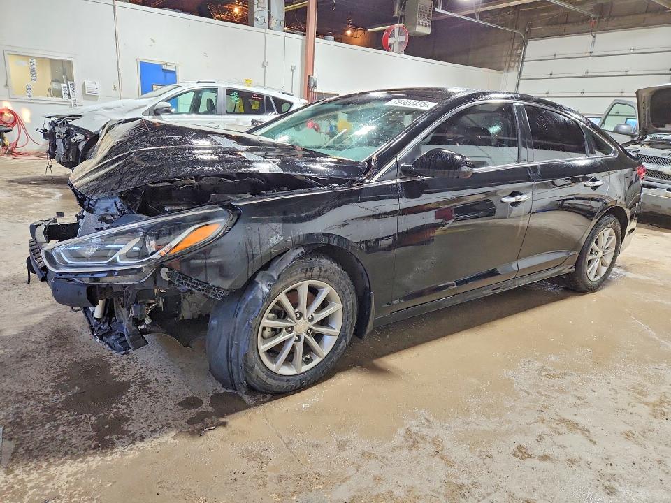 Продаж на аукціоні авто 2019 Hyundai Sonata, vin: 5NPE24AF8KH810296, номер лоту: 79107475
