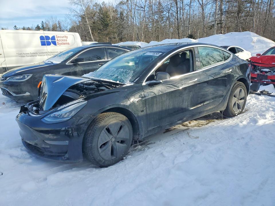 77778295 :رقم المزاد ، 5YJ3E1EA8KF407719 vin ، 2019 Tesla Model 3 مزاد بيع