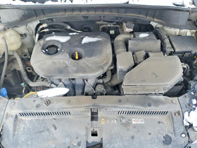 Продаж на аукціоні авто 2017 Hyundai Tucson, vin: KM8J3CA41HU301178, номер лоту: 77267485