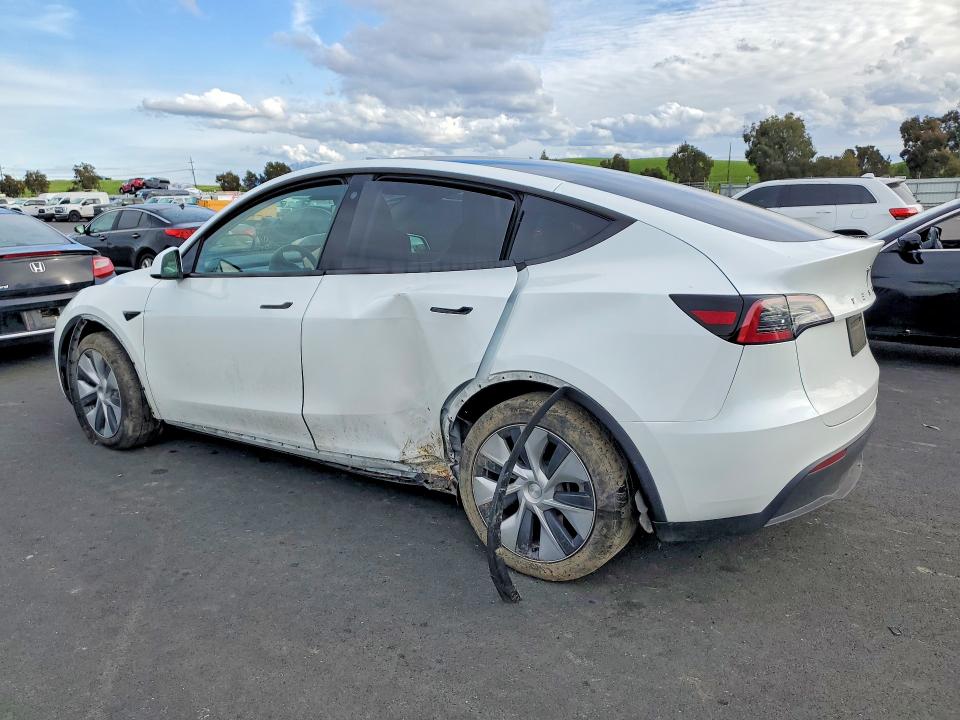 Aukcja sprzedaży 2023 Tesla Model Y, vin: 7SAYGDEE9PF741594, numer aukcji: 78505545