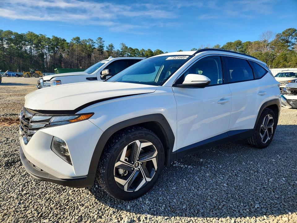 2023 Hyundai Tucson მანქანა იყიდება აუქციონზე, vin: 5NMJF3AE6PH250769, აუქციონის ნომერი: 77825505