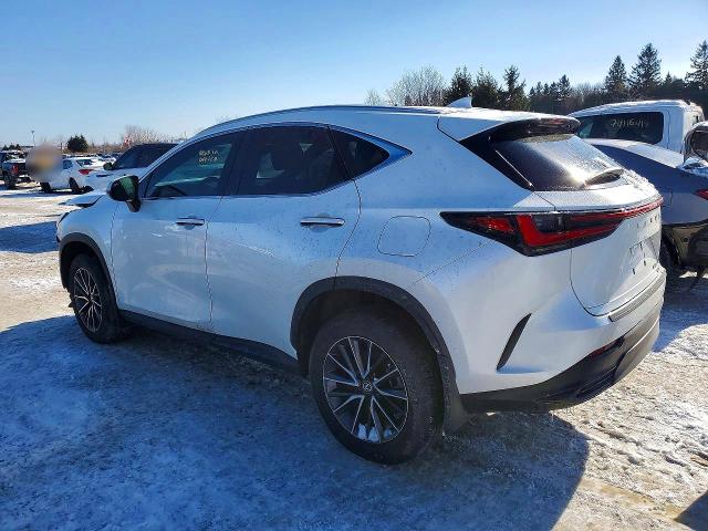 Auction sale of the 2024 Lexus Nx, vin: 2T2GGCEZ2RC035611, lot number: 74775445
