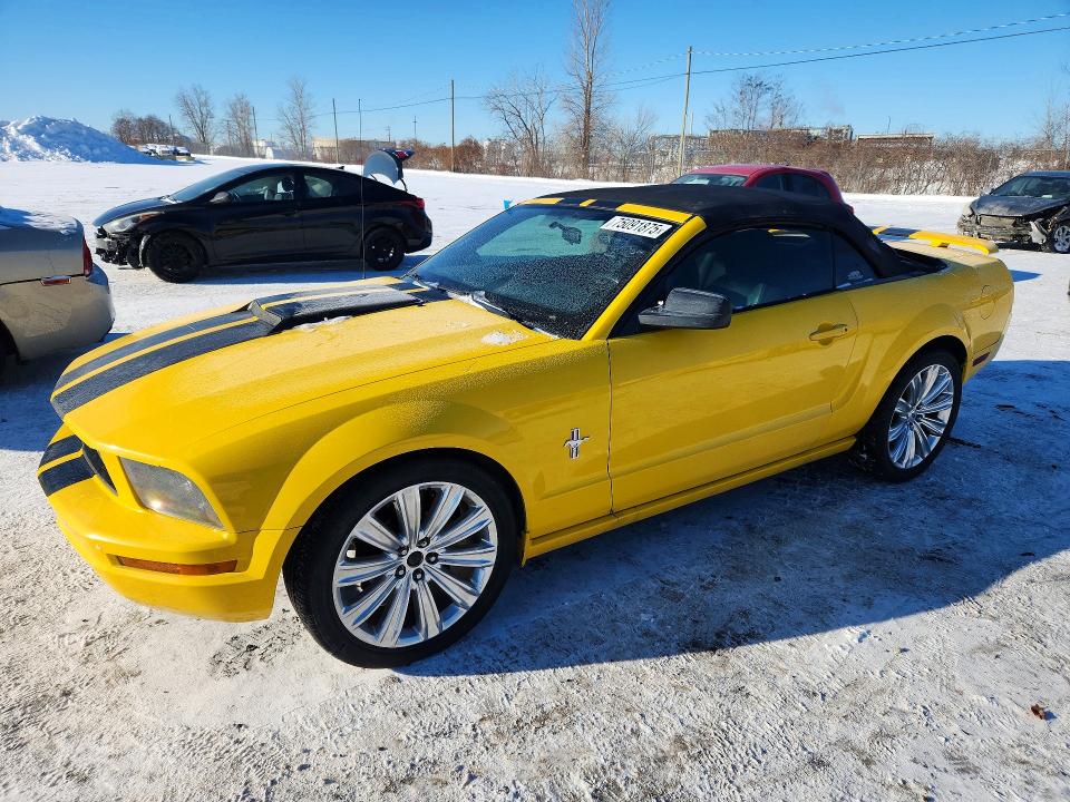 Продажа на аукционе авто 2006 Ford Mustang, vin: 1ZVFT84N565137028, номер лота: 75091875
