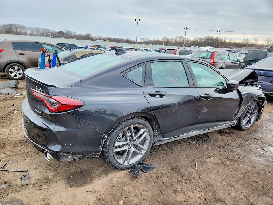 Продаж на аукціоні авто 2025 Acura Tlx, vin: 19UUB6F56SA005283, номер лоту: 75870895