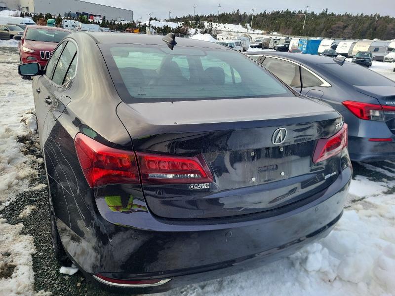 74641015 :رقم المزاد ، 19UUB3F70HA800869 vin ، 2017 Acura Tlx Advanc مزاد بيع