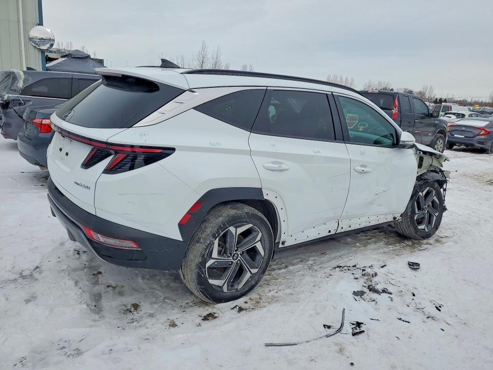 2024 Hyundai Tucson მანქანა იყიდება აუქციონზე, vin: KM8JCCD19RU181732, აუქციონის ნომერი: 75880785