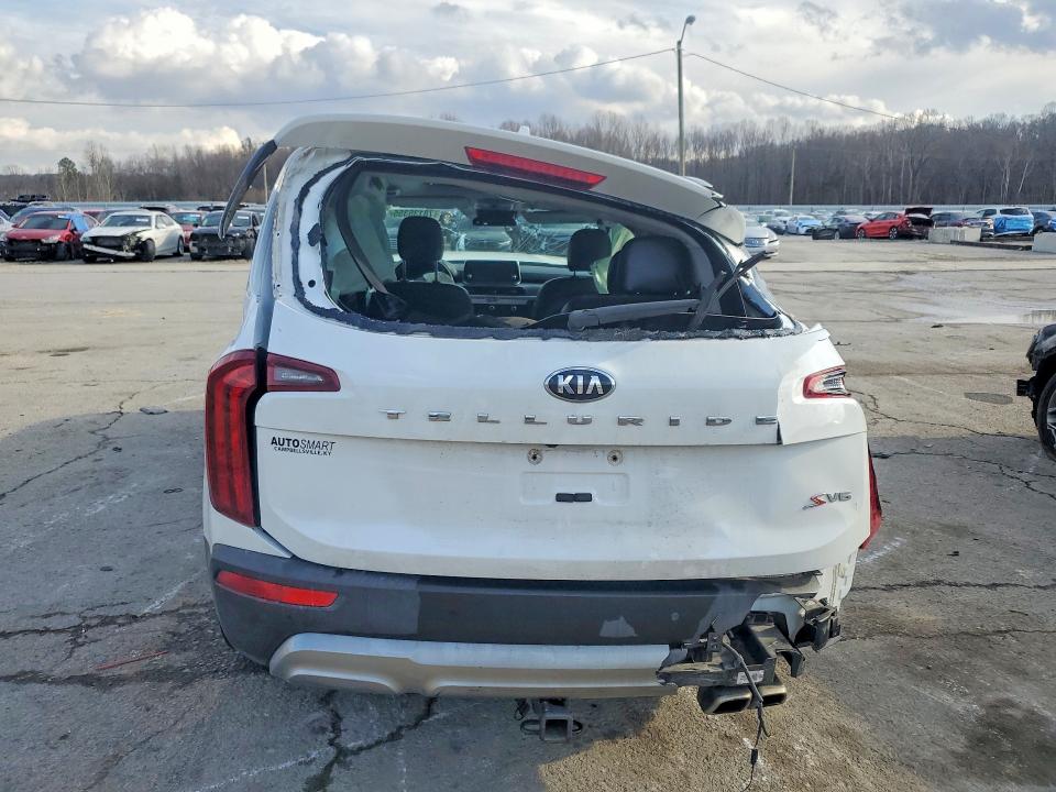 Продаж на аукціоні авто 2020 Kia Telluride, vin: 5XYP64HCXLG056593, номер лоту: 78135355