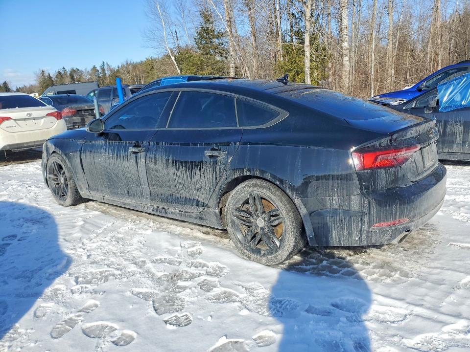 Продажа на аукционе авто 2019 Audi A5, vin: WAUANCF59KA079558, номер лота: 78899785