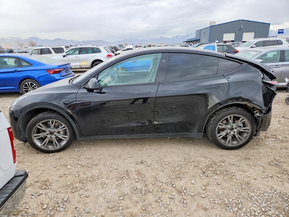 Продажа на аукционе авто 2024 Tesla Model Y, vin: 7SAYGDEE6RA251095, номер лота: 76491075