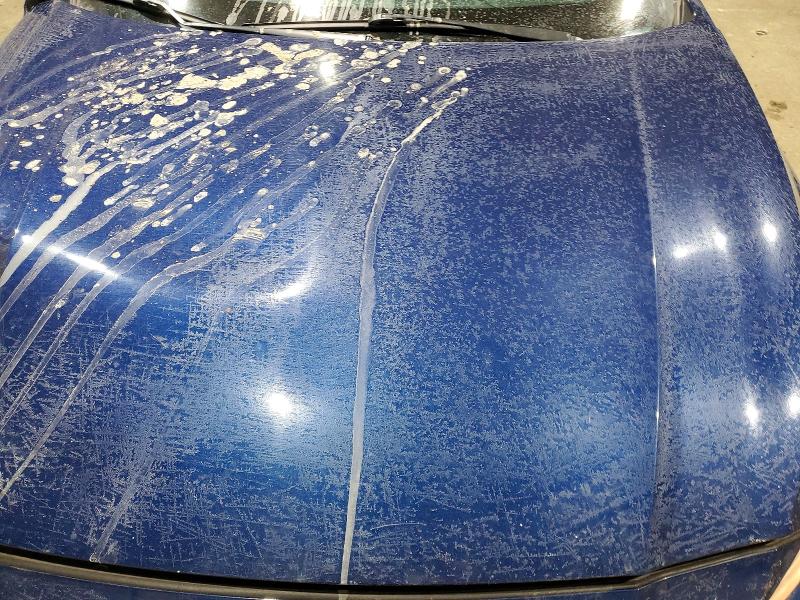 Продаж на аукціоні авто 2020 Nissan Altima, vin: 1N4BL4BW1LN323642, номер лоту: 76000785
