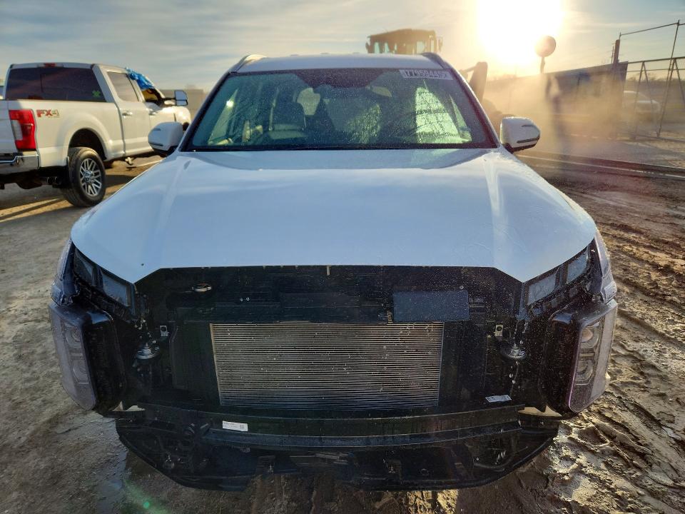 Aukcja sprzedaży 2025 Hyundai Palisade, vin: KM8R2DGE1SU876383, numer aukcji: 77959445