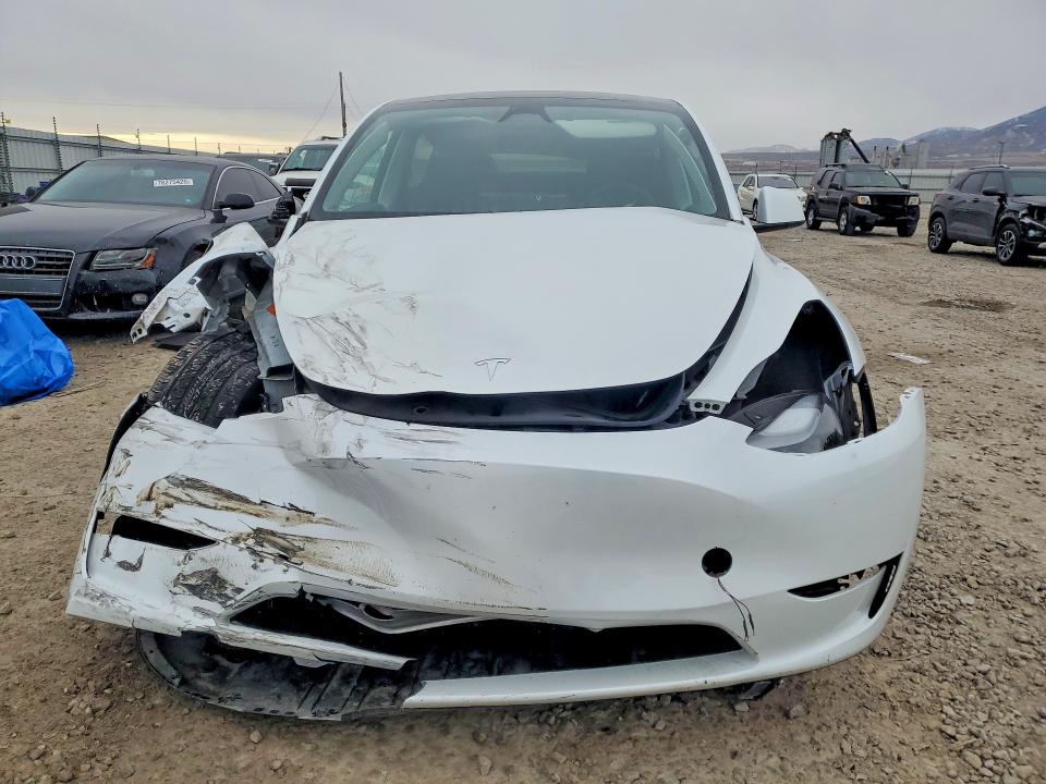 Aukcja sprzedaży 2023 Tesla Model Y, vin: 7SAYGAEE1PF798600, numer aukcji: 76459175