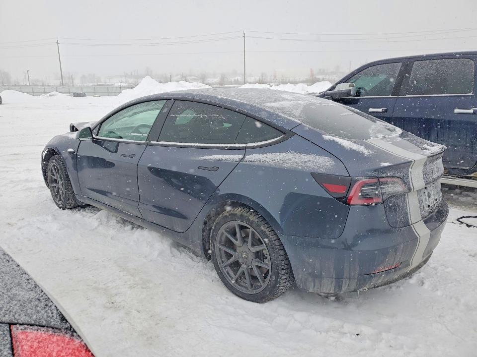 Продажа на аукционе авто 2023 Tesla Model 3, vin: 5YJ3E1EA9PF407106, номер лота: 75313135