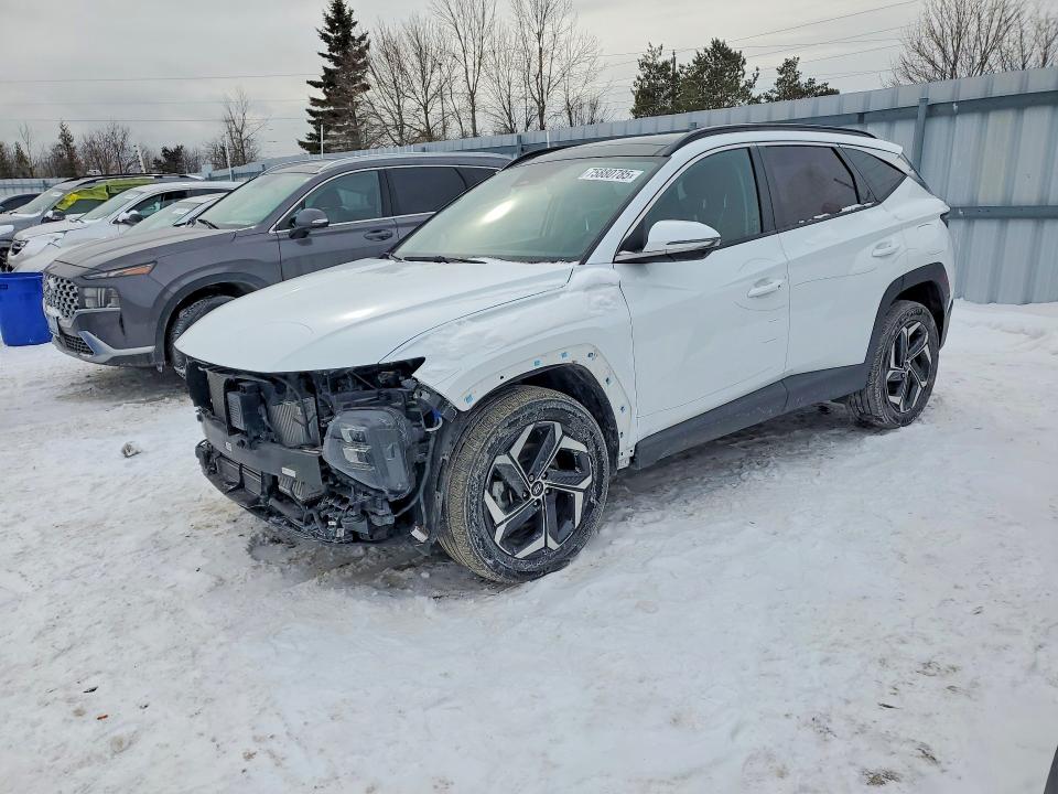 2024 Hyundai Tucson მანქანა იყიდება აუქციონზე, vin: KM8JCCD19RU181732, აუქციონის ნომერი: 75880785