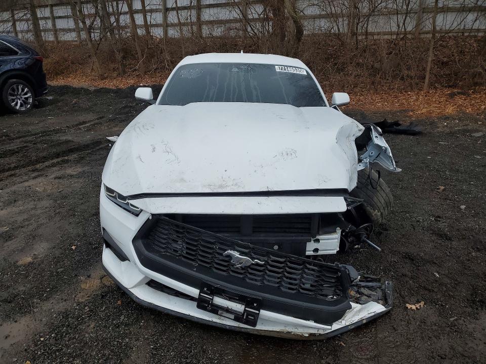 Продажа на аукционе авто 2024 Ford Mustang, vin: 1FA6P8TH1R5130672, номер лота: 77146535