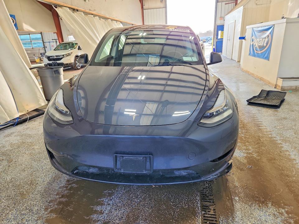 Aukcja sprzedaży 2023 Tesla Model Y, vin: 7SAYGDEE7PA034703, numer aukcji: 77732605