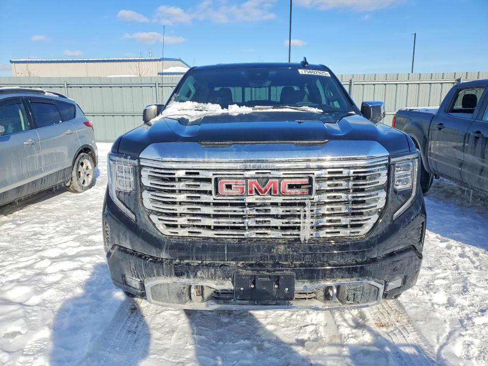 Продаж на аукціоні авто 2026 Gmc Sierra, vin: 3GTUUGE82TG130455, номер лоту: 75802925