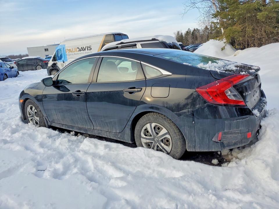 77268105 :رقم المزاد ، 2HGFC2F51HH007435 vin ، 2017 Honda Civic مزاد بيع