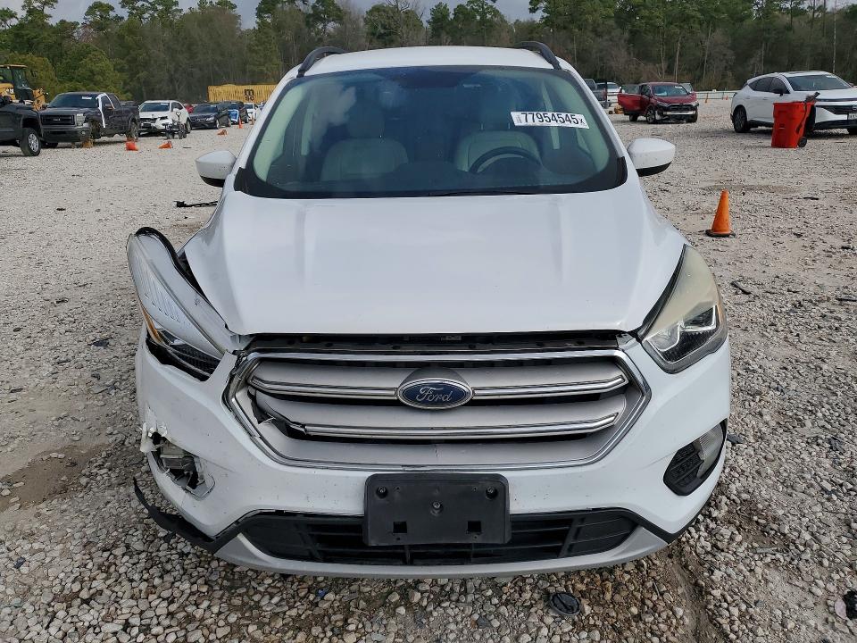 Продаж на аукціоні авто 2019 Ford Escape, vin: 1FMCU0HD4KUA62551, номер лоту: 77954545