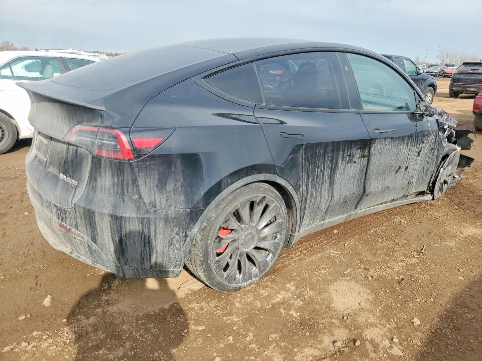 Продаж на аукціоні авто 2025 Tesla Model Y, vin: 7SAYGDEF9SA341887, номер лоту: 76491855