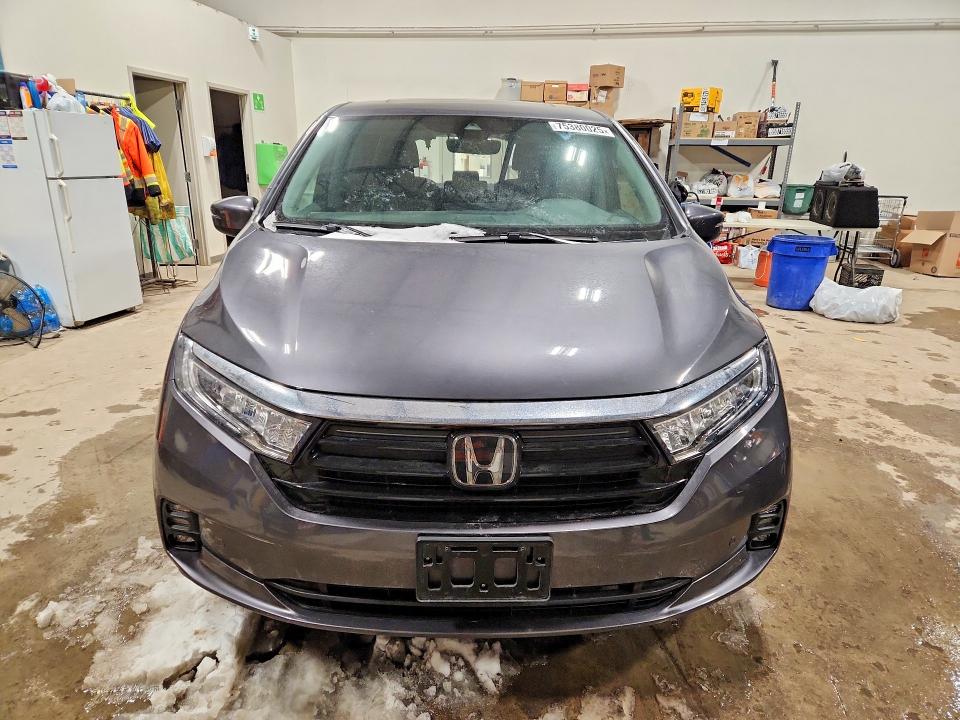 Aukcja sprzedaży 2023 Honda Odyssey, vin: 5FNRL6H64PB503326, numer aukcji: 75380025