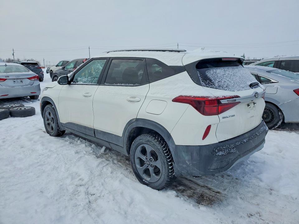 Aukcja sprzedaży 2021 Kia Seltos, vin: KNDEP2AA0M7191050, numer aukcji: 78793205