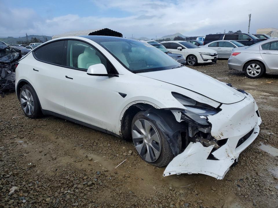 Aukcja sprzedaży 2024 Tesla Model Y, vin: 7SAYGDEE4RF056471, numer aukcji: 77807305