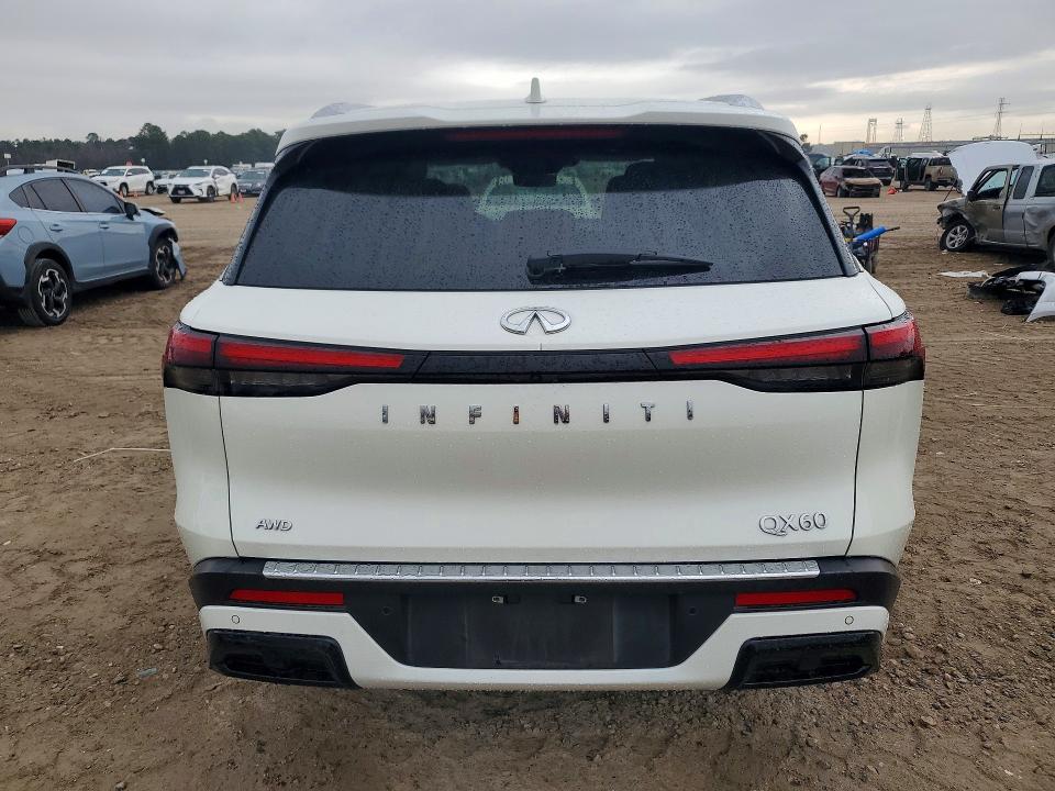 76474375 :رقم المزاد ، 5N1DL1FS9PC361335 vin ، 2023 Infiniti Qx60 مزاد بيع