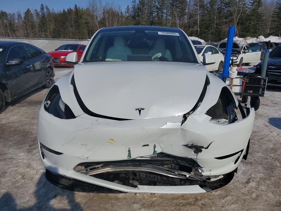 75509005 :رقم المزاد ، 7SAYGAEE5PF762666 vin ، 2023 Tesla Model Y مزاد بيع