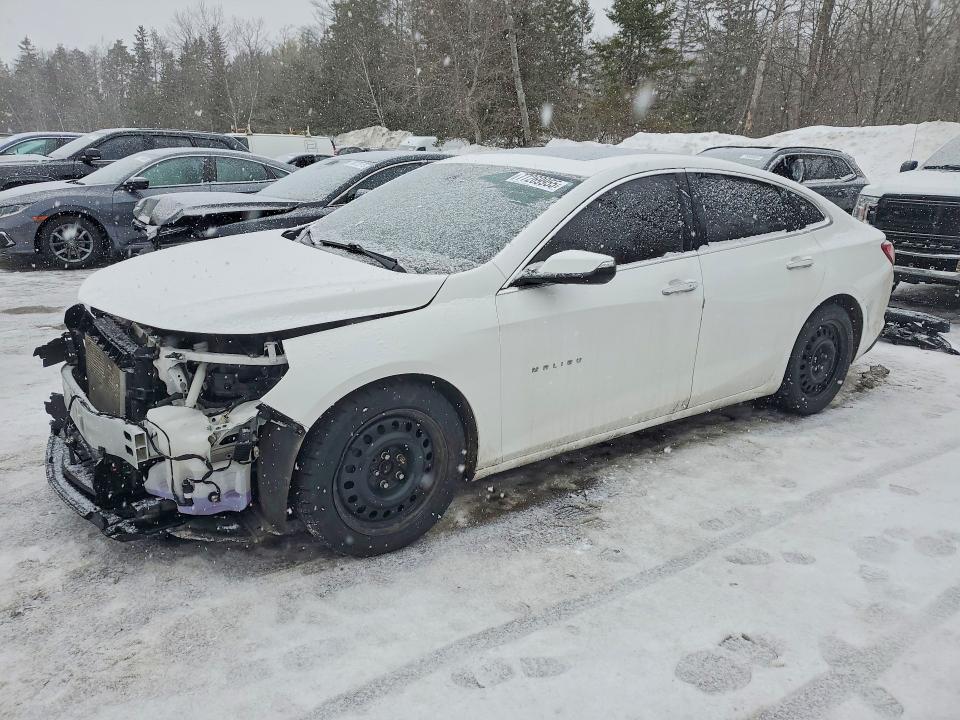 77269955 :رقم المزاد ، 1G1ZE5SX5LF025700 vin ، 2020 Chevrolet Malibu مزاد بيع