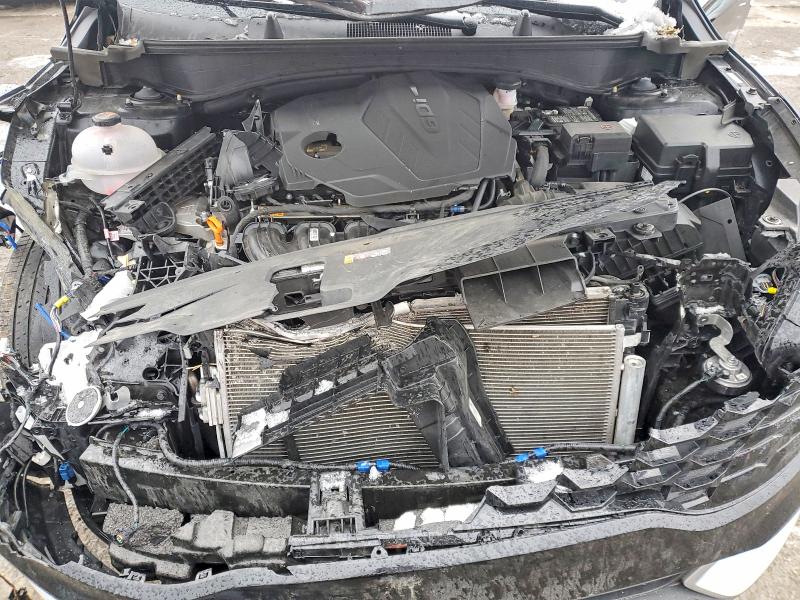 76346795 :رقم المزاد ، 5XYK3CDF4SG269390 vin ، 2025 Kia Sportage مزاد بيع