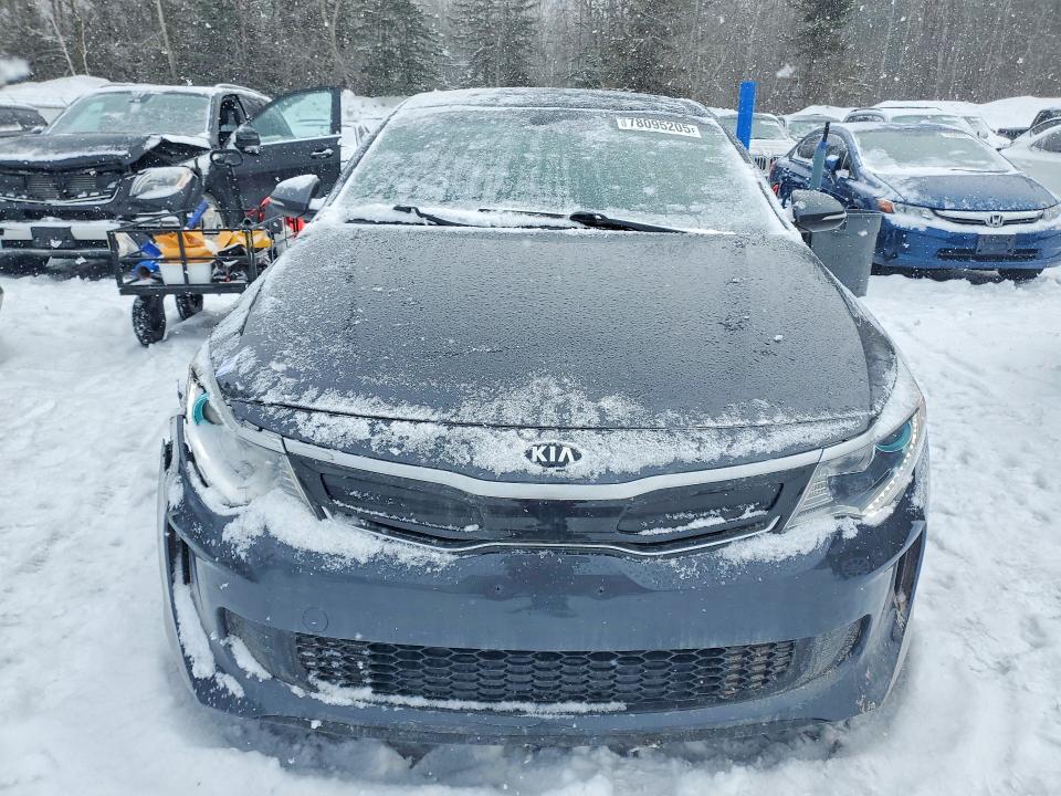 Продаж на аукціоні авто 2017 Kia Optima, vin: KNAGU4LC0H5008482, номер лоту: 78095205