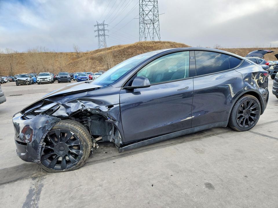 Продажа на аукционе авто 2024 Tesla Model Y, vin: 7SAYGDEE7RF079789, номер лота: 75512185